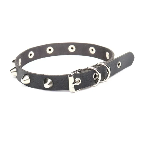 Gothic Leather Choker