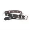 Gothic Leather Choker